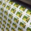Sheet Labels
